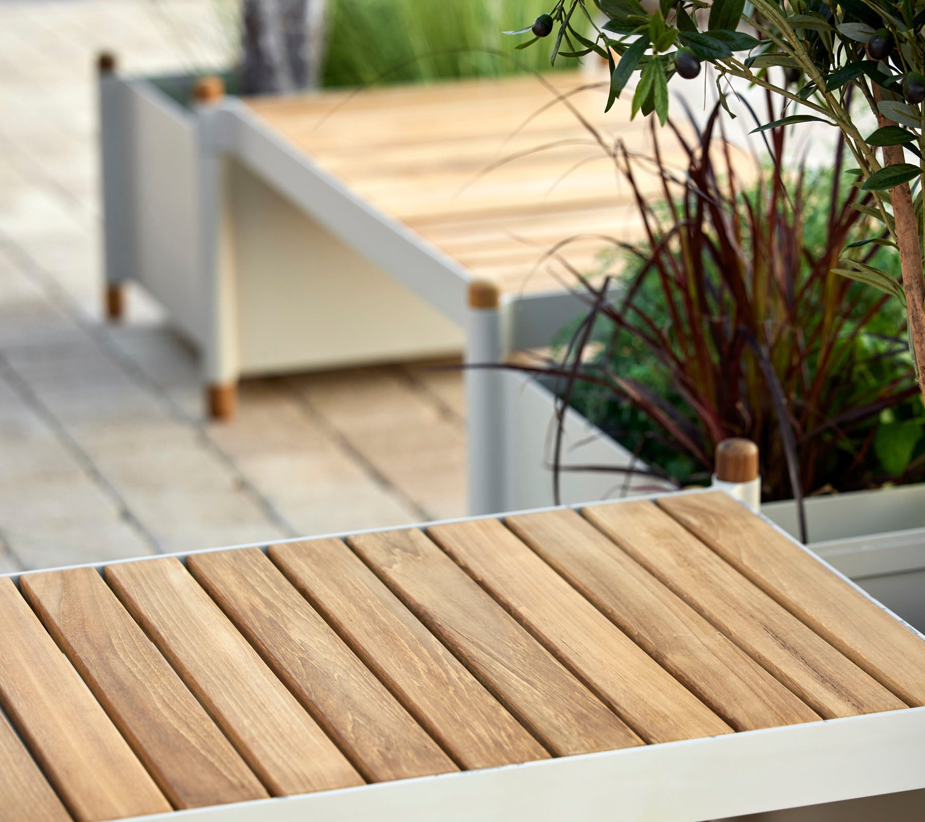 Holzlattenoberfläche mit minimalistischen Designelementen, umgeben von Grünpflanzen und dekorativen Pflanzgefäßen.